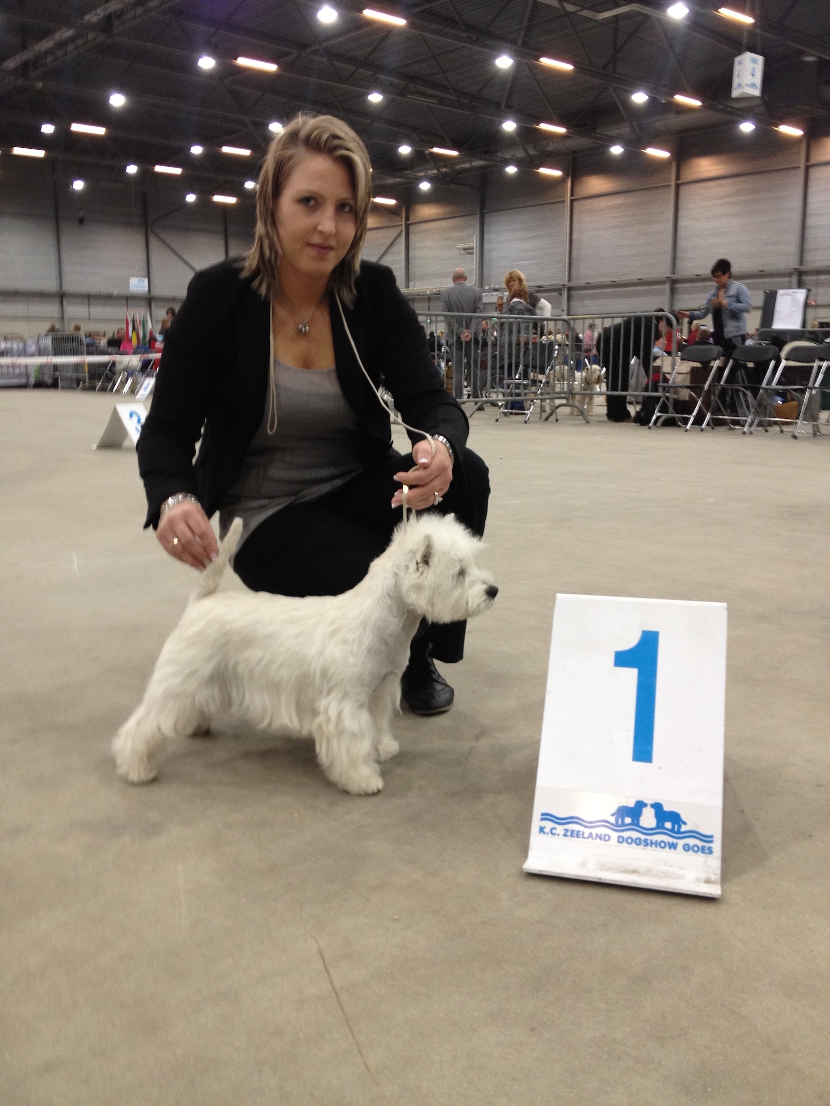 Show-ervaring met west highland white terrier (Yuka)