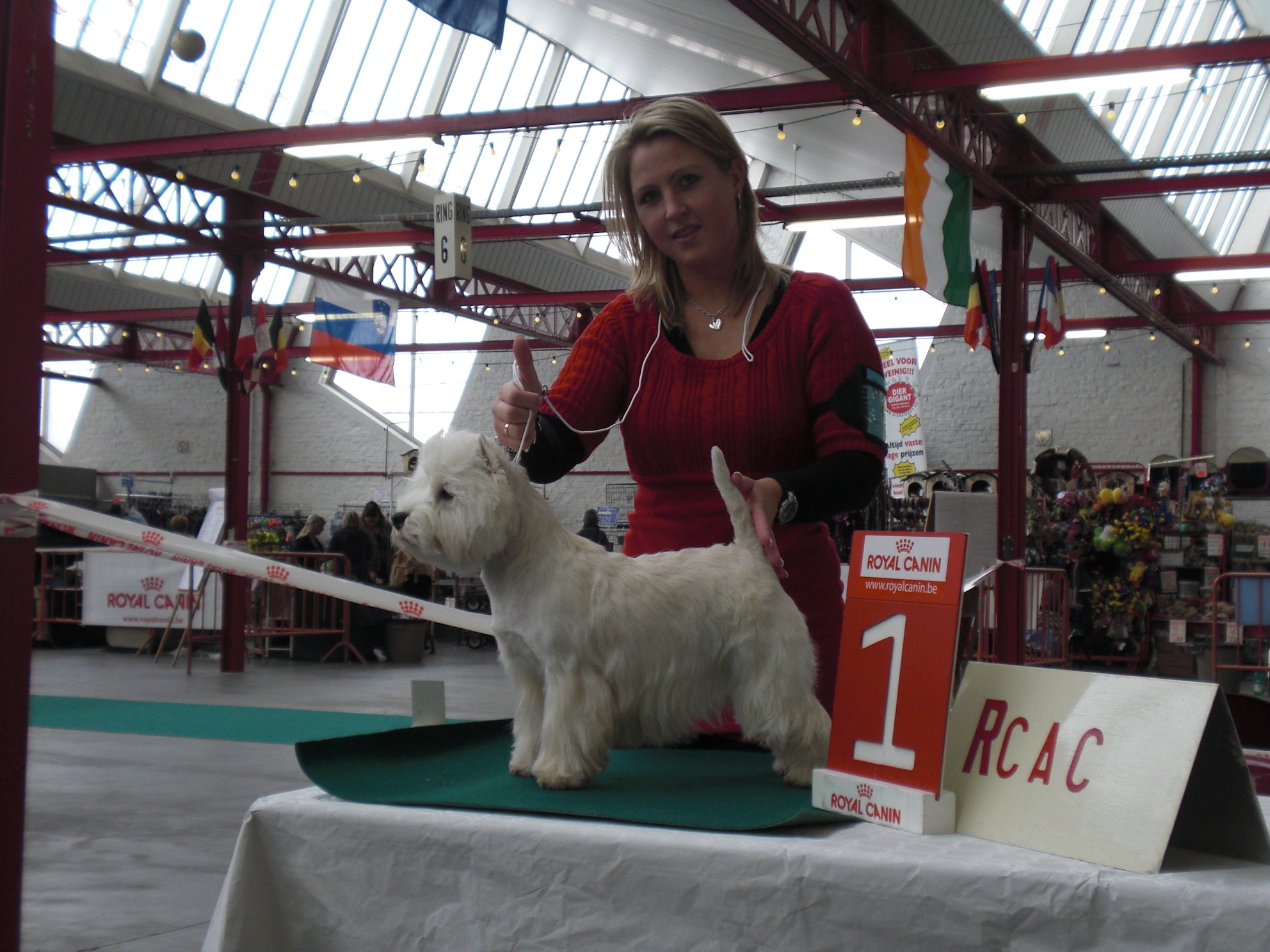 Show-ervaring met westie